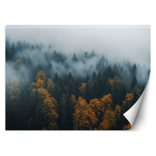 Wallpaper, Forest in fog landscape