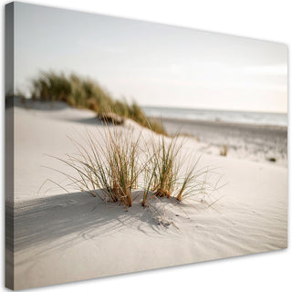 Paveikslas ant drobės, Pajūrio kopos Paveikslai ant drobės Gera namie - Geranamie.lt