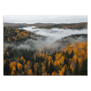 Fototapetai, Miškas rudenio spalvose