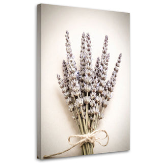 Paveikslas ant drobės, Džiovintų levandų puokštė Paveikslai ant drobės Gera namie - Geranamie.lt