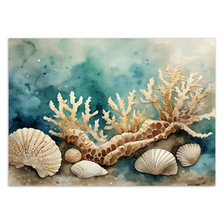 Wallpapers, Shells and sea corals