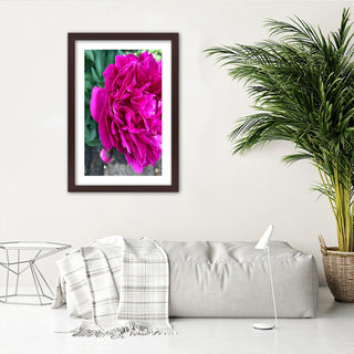 Print Pink big flower