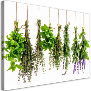 Paveikslas ant drobės, Džiovintos prieskoninės žolelės Nr. 12 Paveikslas ant drobės, Herbs spices plants Paveikslai ant drobės Gera namie - Geranamie.lt