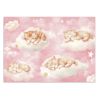 Wallpaper, Sleeping kitten in a cloud