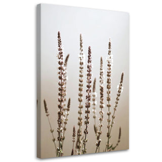 Paveikslas ant drobės, Levandų stiebeliai pastelėje Paveikslai ant drobės Gera namie - Geranamie.lt