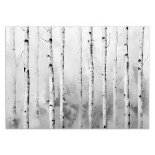 Fototapetai, Beržų kamienai