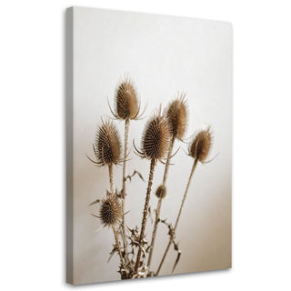 Paveikslas ant drobės, Džiovintos varnalėšos Paveikslai ant drobės Gera namie - Geranamie.lt