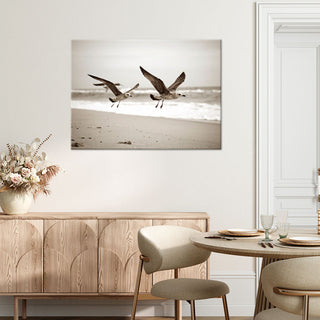 Paveikslas ant drobės, Žuvėdros pakrantėje Paveikslai ant drobės Gera namie - Geranamie.lt