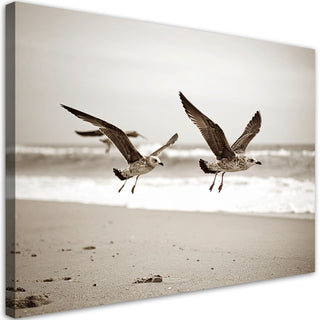 Paveikslas ant drobės, Žuvėdros pakrantėje Paveikslai ant drobės Gera namie - Geranamie.lt