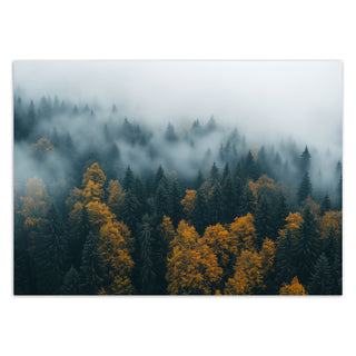 Fototapetai, Miško grožis rudenį