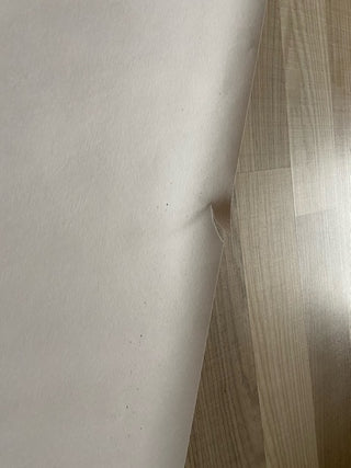 Fototapetai, Stilizuota vintažinė šakelė Tapetai Gera namie - Geranamie.lt