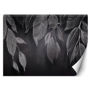 Wallpaper, Minimalism Leaves Plants Black and White