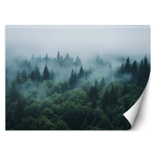Wallpaper, Green forest in the fog nature landscape