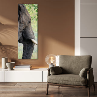 Painting on canvas, Elephant