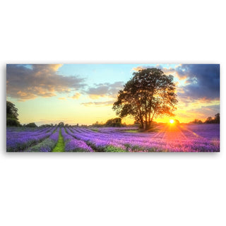 Painting on canvas, A tree in a lavender field