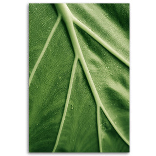 Painting on canvas, Green leaf