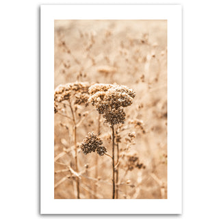 Painting on canvas, Grasses