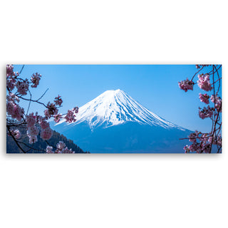 Painting on canvas, Cherry blossoms and Mount Fuji