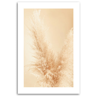 Painting on canvas, Pampas grass