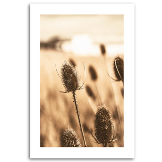 Painting on canvas, Grasses