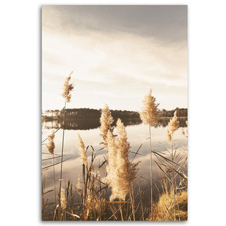 Painting on canvas, Pampas grass