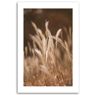 Painting on canvas, Grasses