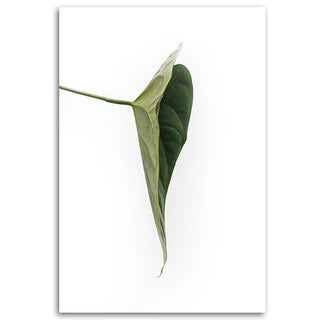 Painting on canvas, Green leaf