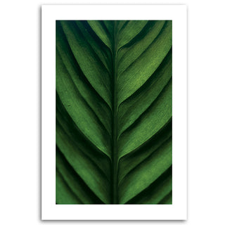 Painting on canvas, Green leaf