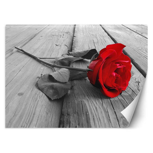 Tapetai, Raudona rožė