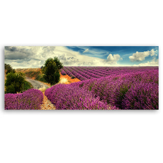 Painting on canvas, Lavender field