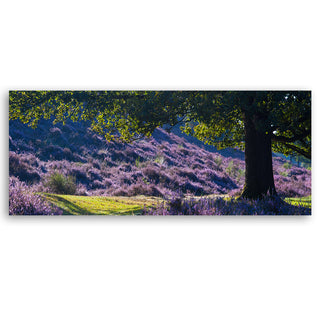 Painting on canvas, Lavender in Provence