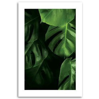 Painting on canvas, Monstera leaves