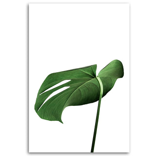 Painting on canvas, Monstera leaves