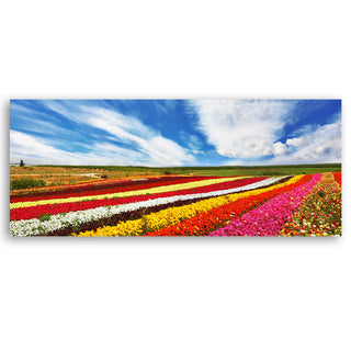 Painting on canvas, Tulip field