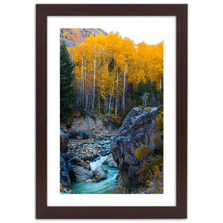 Print in a dark brown frame, Stream in the forest