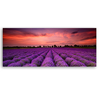 Painting on canvas, Lavender field